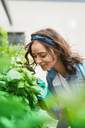 Person in garden