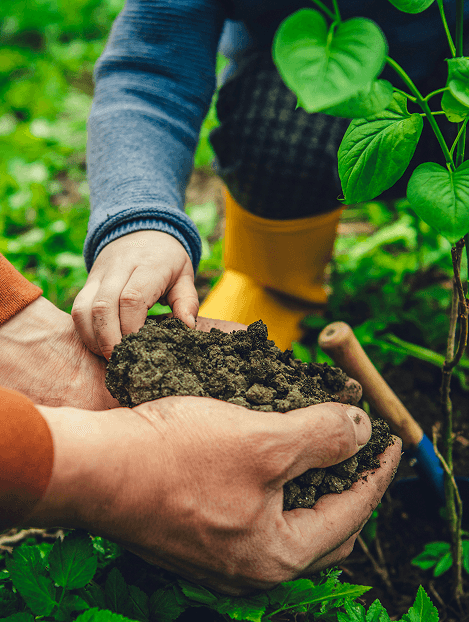 Hands in garden