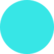 round-localgiving-logo