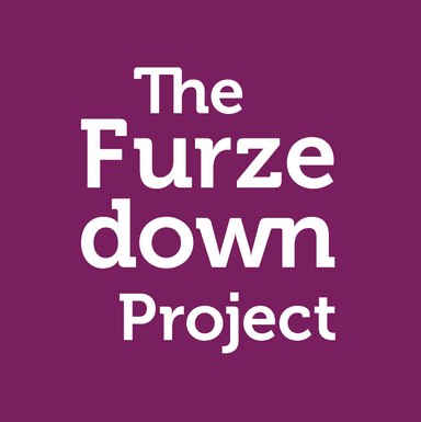 The Furzedown Project Logo