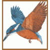 Valley Conservation Society Logo