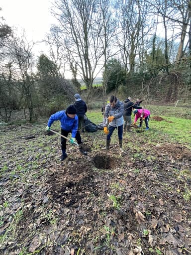 Breathing Space Logo