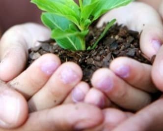 SALT South West Logo