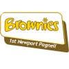 Ist Newport Pagnell Brownies Logo