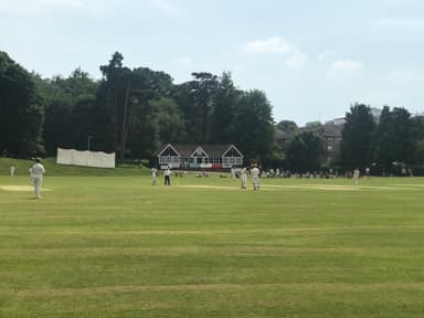 Haywards Heath Cricket Club Logo