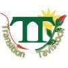 Transition Tavistock Logo
