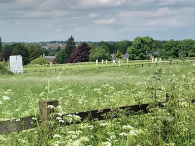 Barton Seagrave Cricket Club Logo