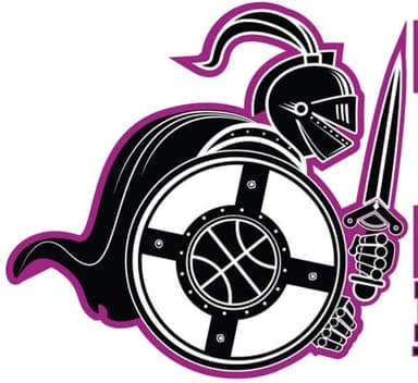 NI Knights Wheelchair Basketball Club Logo