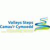 Valleys Steps Logo
