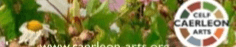 heroImage