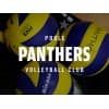 Poole Panthers VC Logo