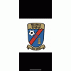 Skelton United Fc Logo