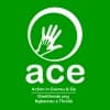 ACE - Action in Caerau & Ely Logo