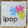 IPOP (Inclusive Play Opportunities Project) Logo