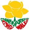 Fund for Wales Logo