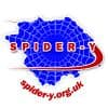 Spider-Y Logo