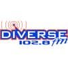 Diverse FM Logo