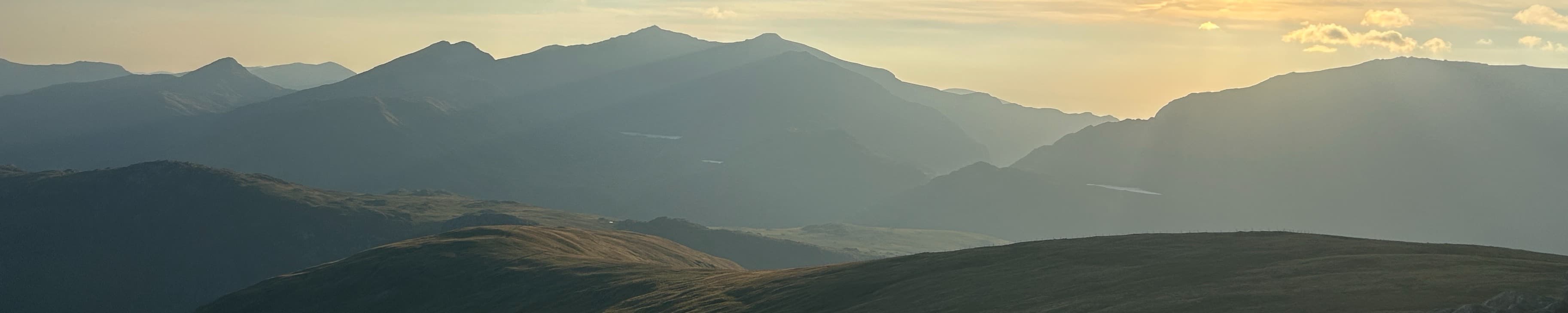 heroImage