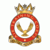 874 (SHERBORNE) SQUADRON AIR TRAINING CORPS Logo