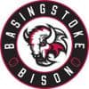Basingstoke Ice Hockey Development Club Logo