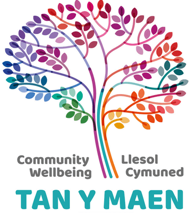 Tan Y Maen Ltd Logo