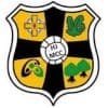 Friends of Henry Joy McCracken GAC Moneymore Logo