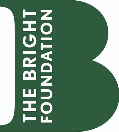 The Bright Foundation Logo