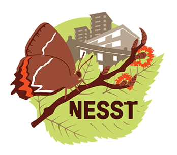 Nether Edge and Sharrow Sustainable Transformation Logo