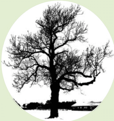 North Cave Playing Field Association Logo