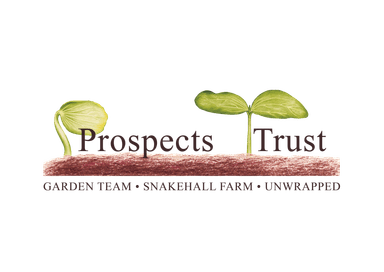 The Prospects Trust Logo